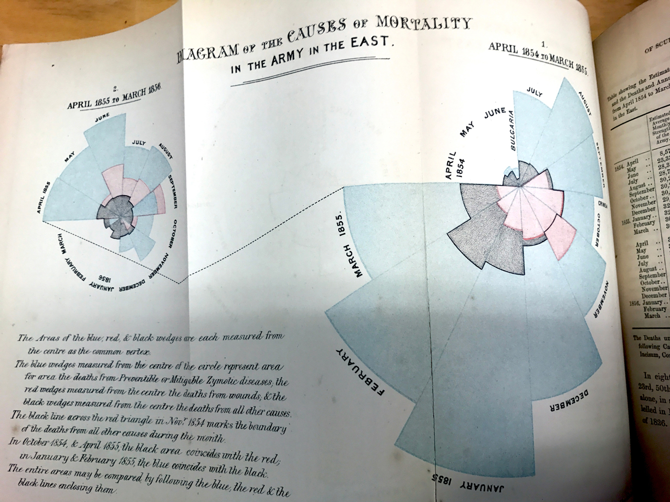こうもりの翼とバラの花